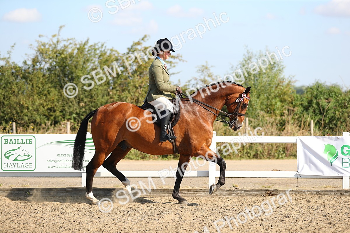 SBM_02188 - Class 43 Ridden Competition Horse/Pony
