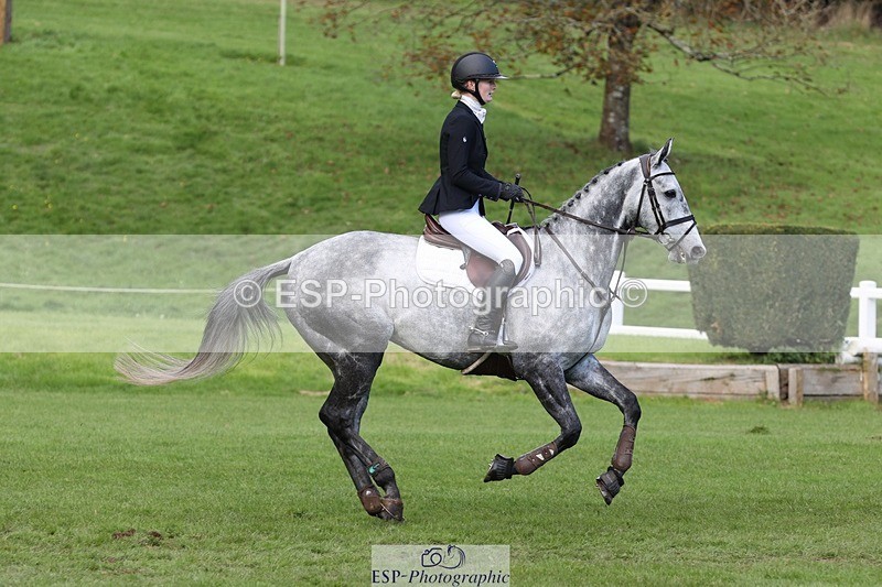 231022-131912-27636 - 451-THE.GREY.DANCER-Alice.Sandiford-TrotUp+SJ