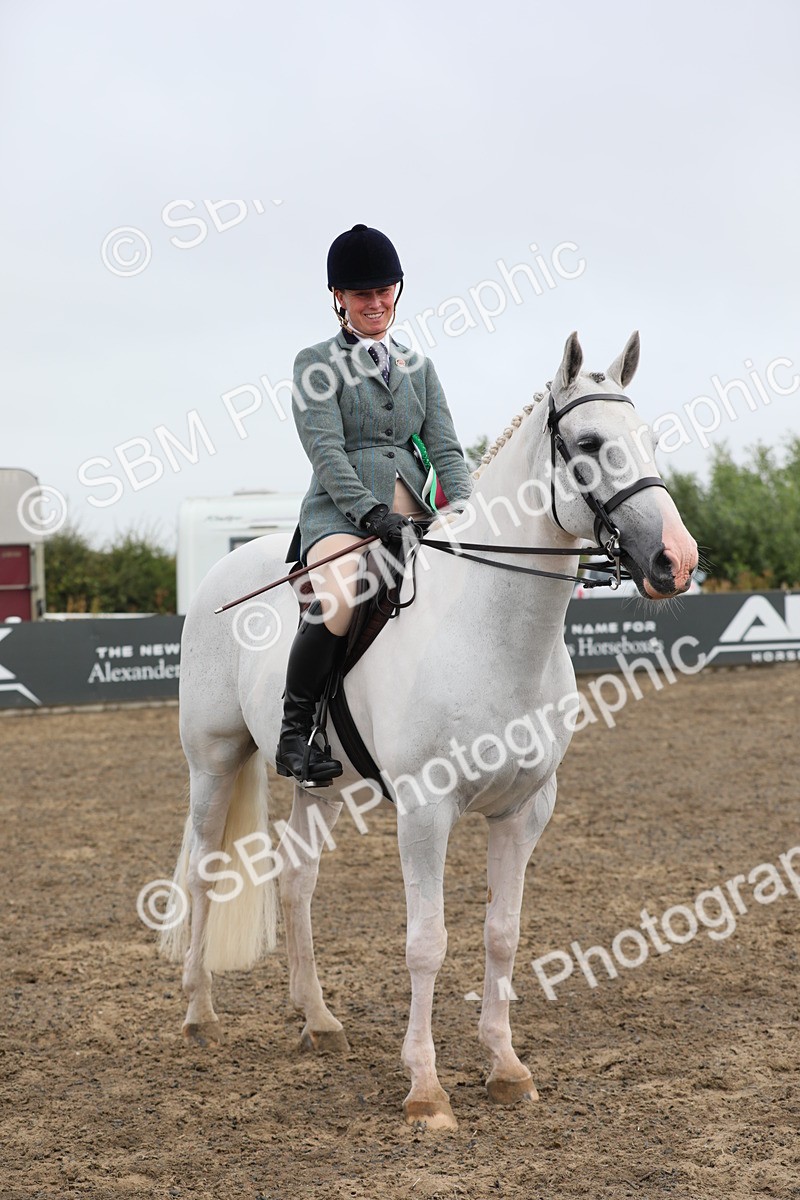 SBM_21407 - Class 805 - Ridden Veteran Horse