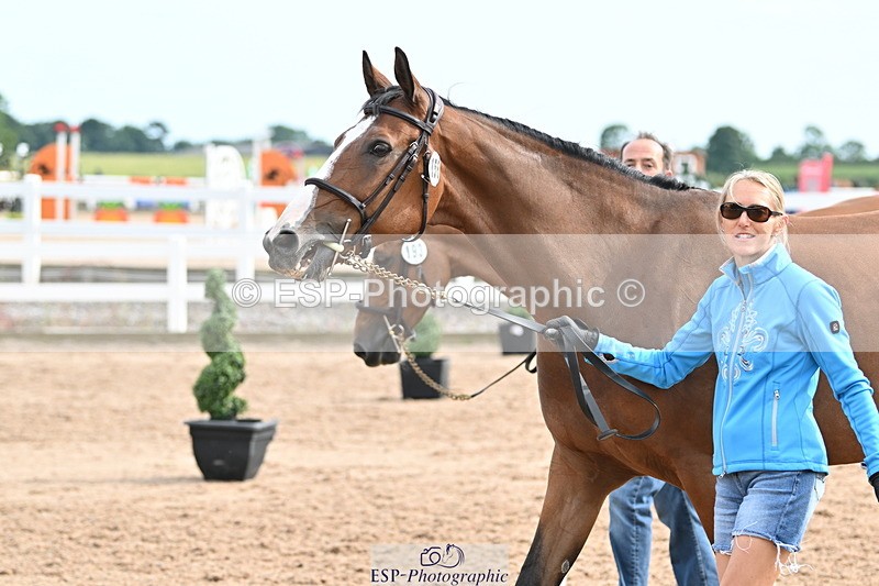 240717A-165549-03548 - Trot Up 4pm to 5pm