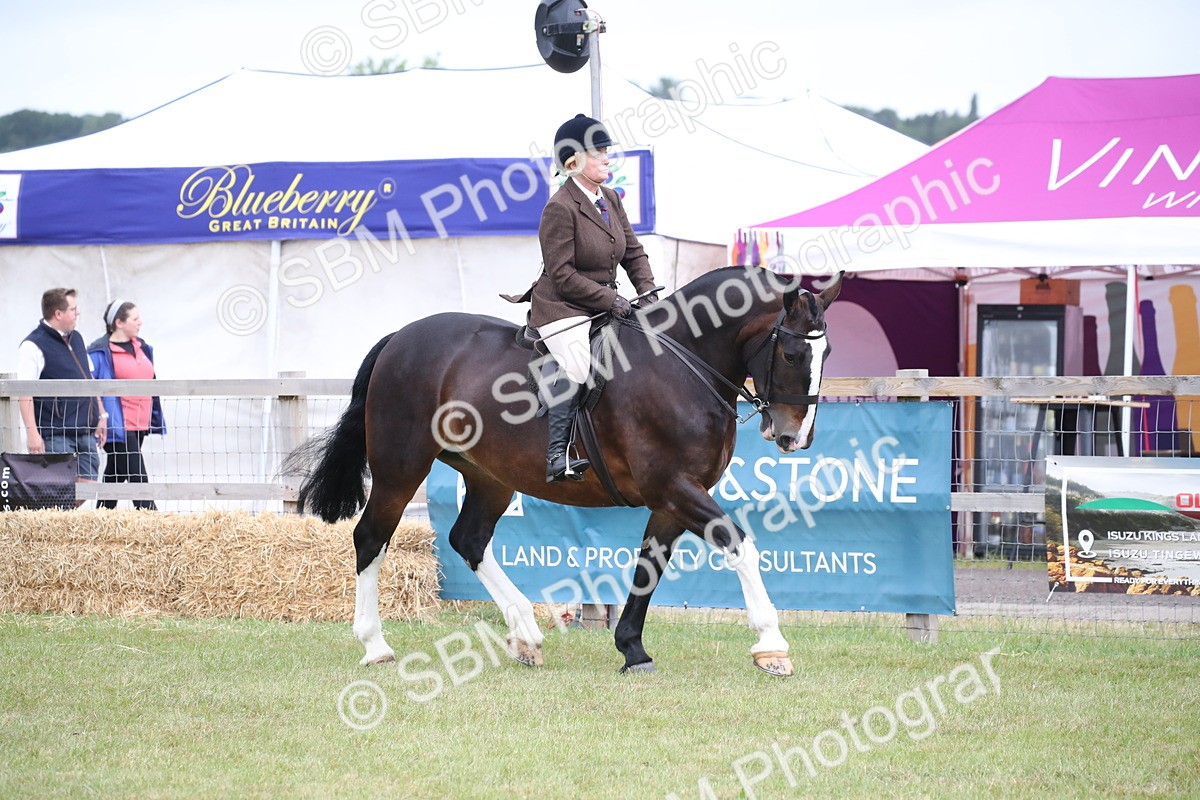 SBM_11327 - Class 92-93 - LIHS BSHA Rising Star Cobs