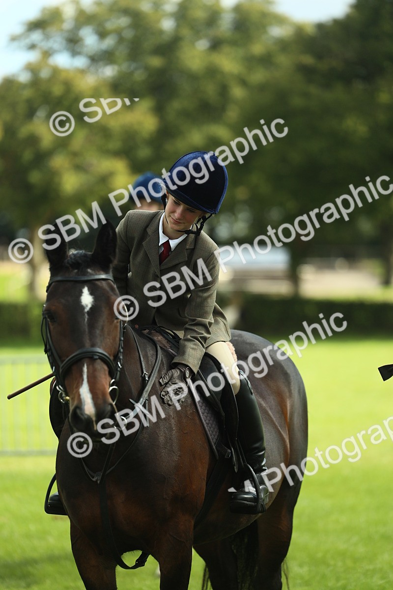 SBM_42152 - S29 - Novice & Newcomers Working Hunter Pony