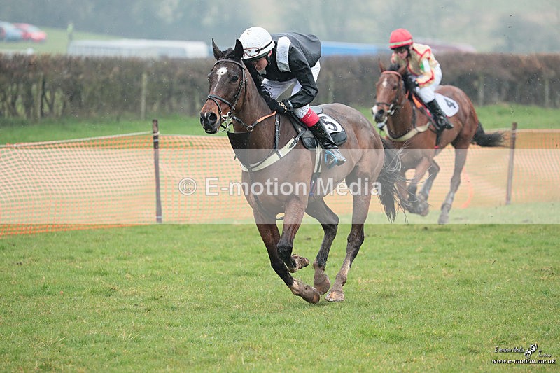 PtP 100324 341 - Pytchley with Woodland Point-to-Point Guilsborough 10/03/24