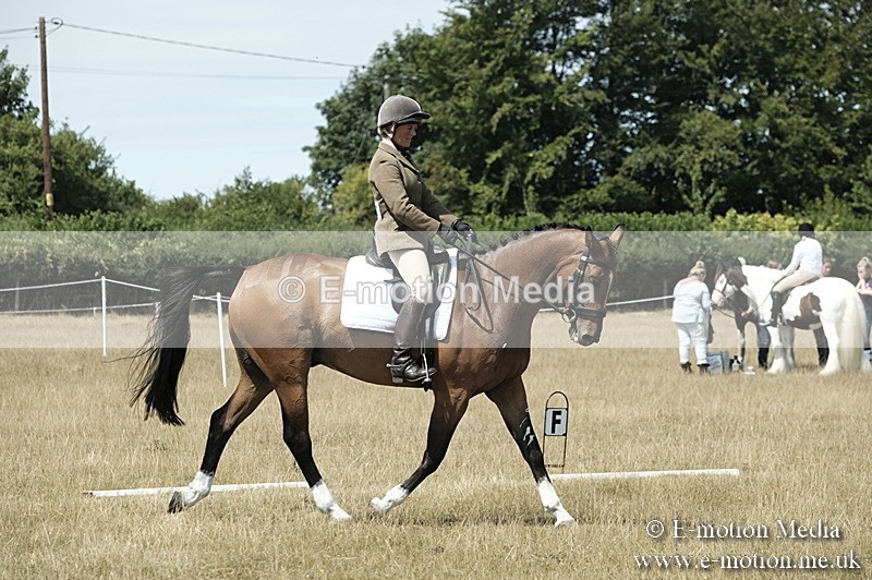 _PJP5884 - Dressage Classes BVRC Show 2018