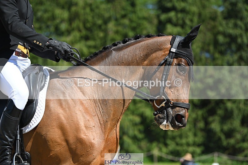 230526-144450-06995 - 484-MERMUS_R_DIAMONDS-Richard_Coney-DR