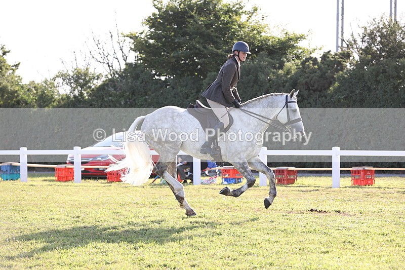 JPP_3430 - Class 22: Working Hunter 90cm