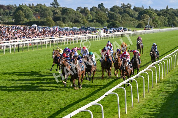 240824-Race 7-Sir Busker-1960 - Race 7 5.20pm Sky Bet Finale Handicap