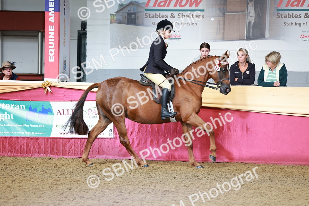 SBM_11901 - Class 102 - Equitation (Best Rider) Adult