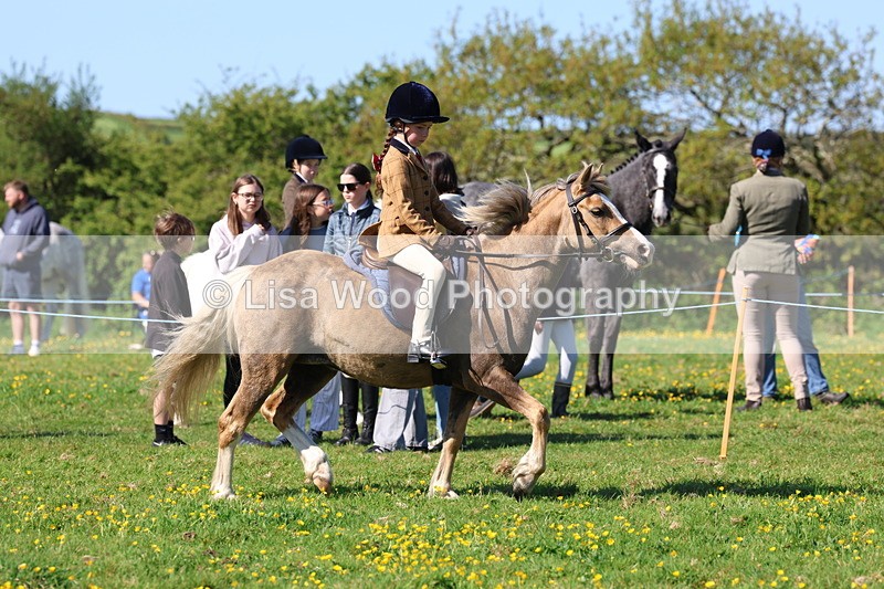 3E7A9146 - Class 3: First Ridden