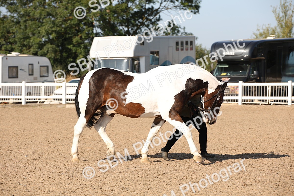 SBM_01466 - Class 15 IH Coloured