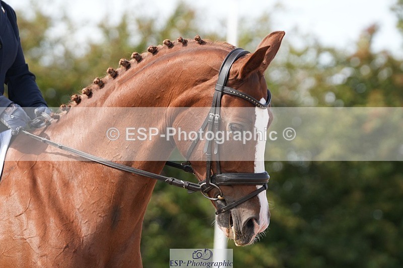 250906-141009-03488 - 052-Elaine.MurphyQT.An.Tainiste