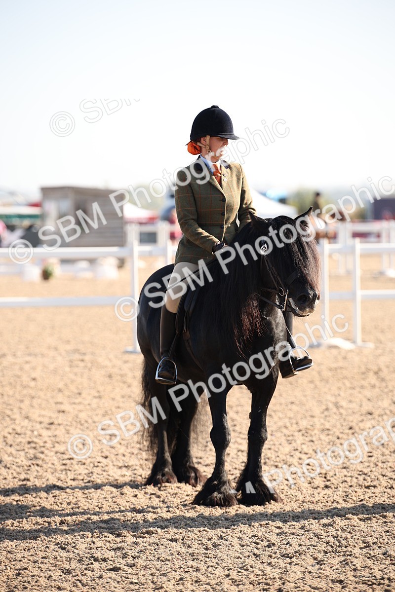 SBM_00661 - Class 14 Ridden M&M Wildcard