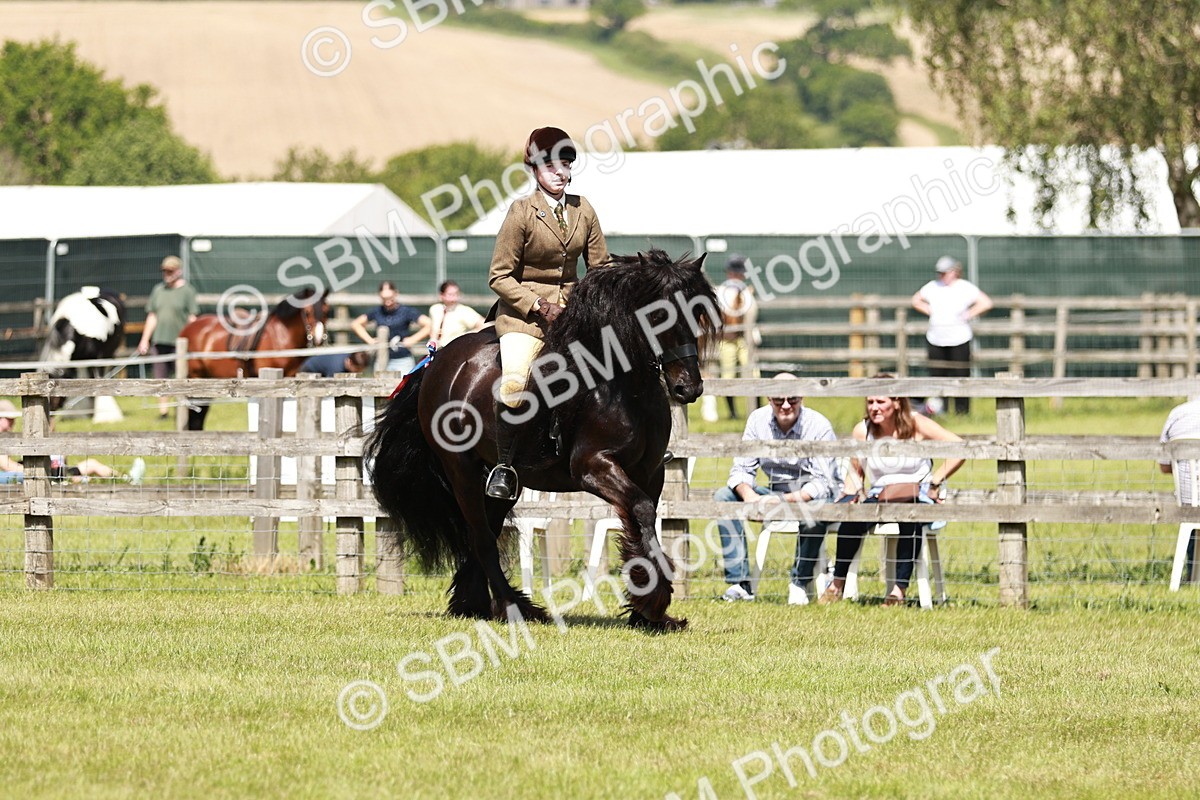 SBM_07126 - Class 26-30 - Mountain and Moorland Ridden