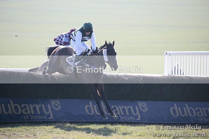 PtP 240218 88 - Vine & Craven Hunt Point-to-Point Barbury racecourse 24/02/18