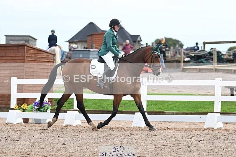 250907-113618-07259 - 001-Tracy.OKennedyWylye.Harlequin