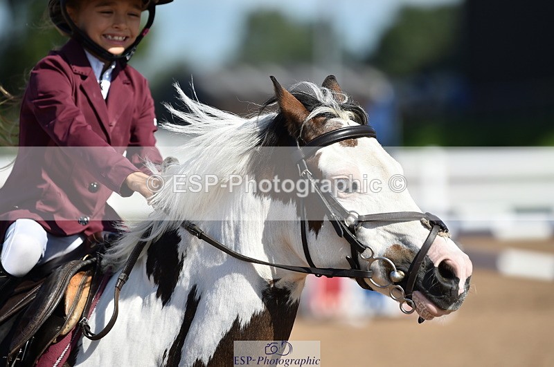 230903A-112756-04198 - Cls 18 Pony Brit Novice & 80cm Open