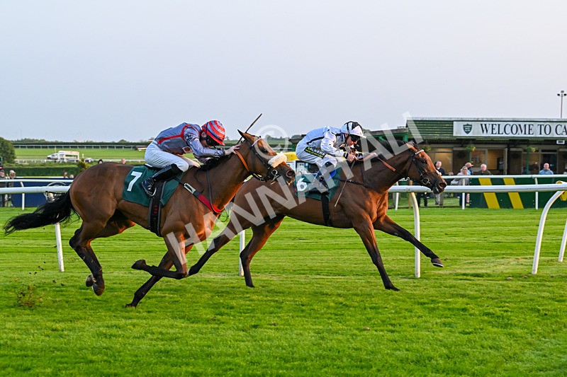 310524-Race 5-Dusk Dame-8948 - Race 5