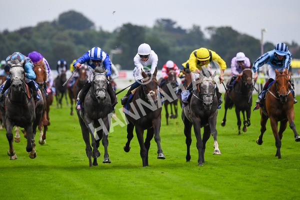 yr21082021r2-13 - Race 2 2.25pm Sky Bet Melrose Stakes