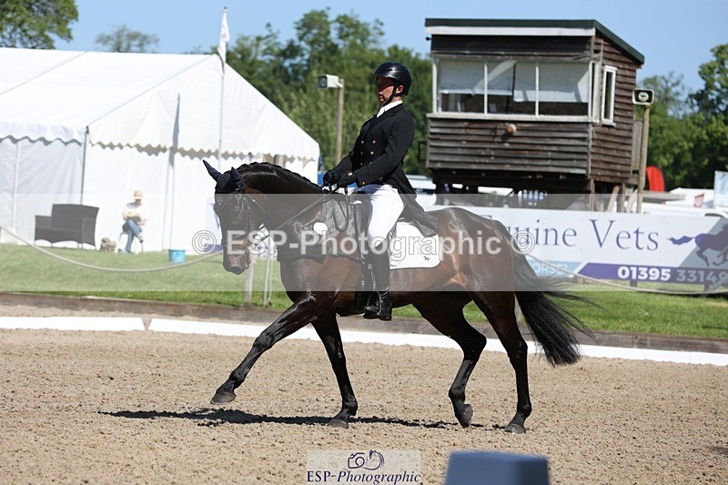 230526-103200-05276 - 362-SPIRIT'S_GEMINI-Harry_Dzenis-WEDTrotUp+DR