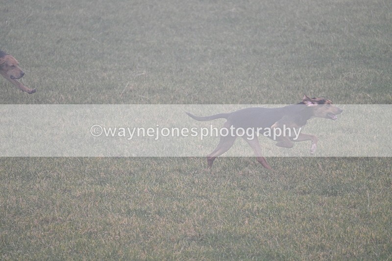 WJ7_3146 - A camera