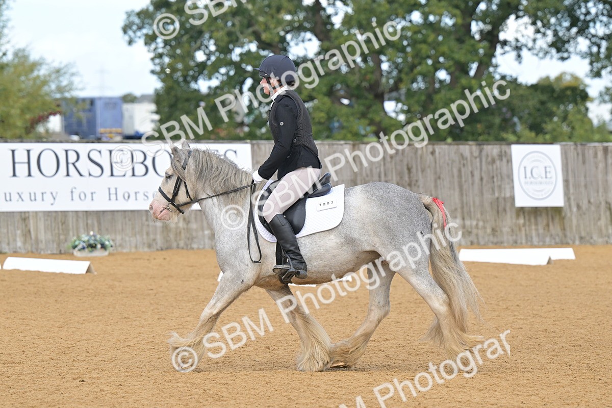 SBM_03743 - D2 - Small Tour Championship Intro 2