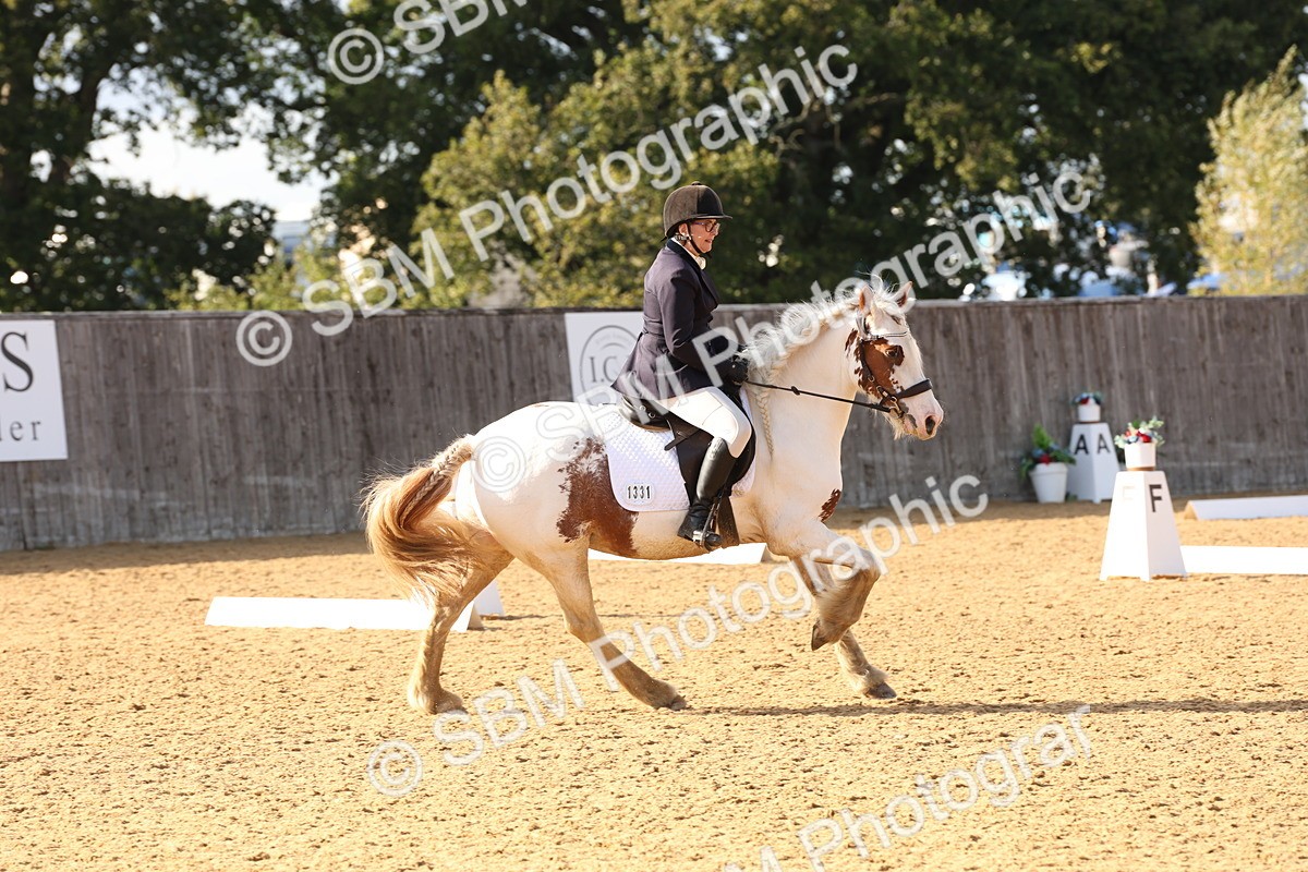 SBM_50526 - D12 - Small Tour Championship prelim 2