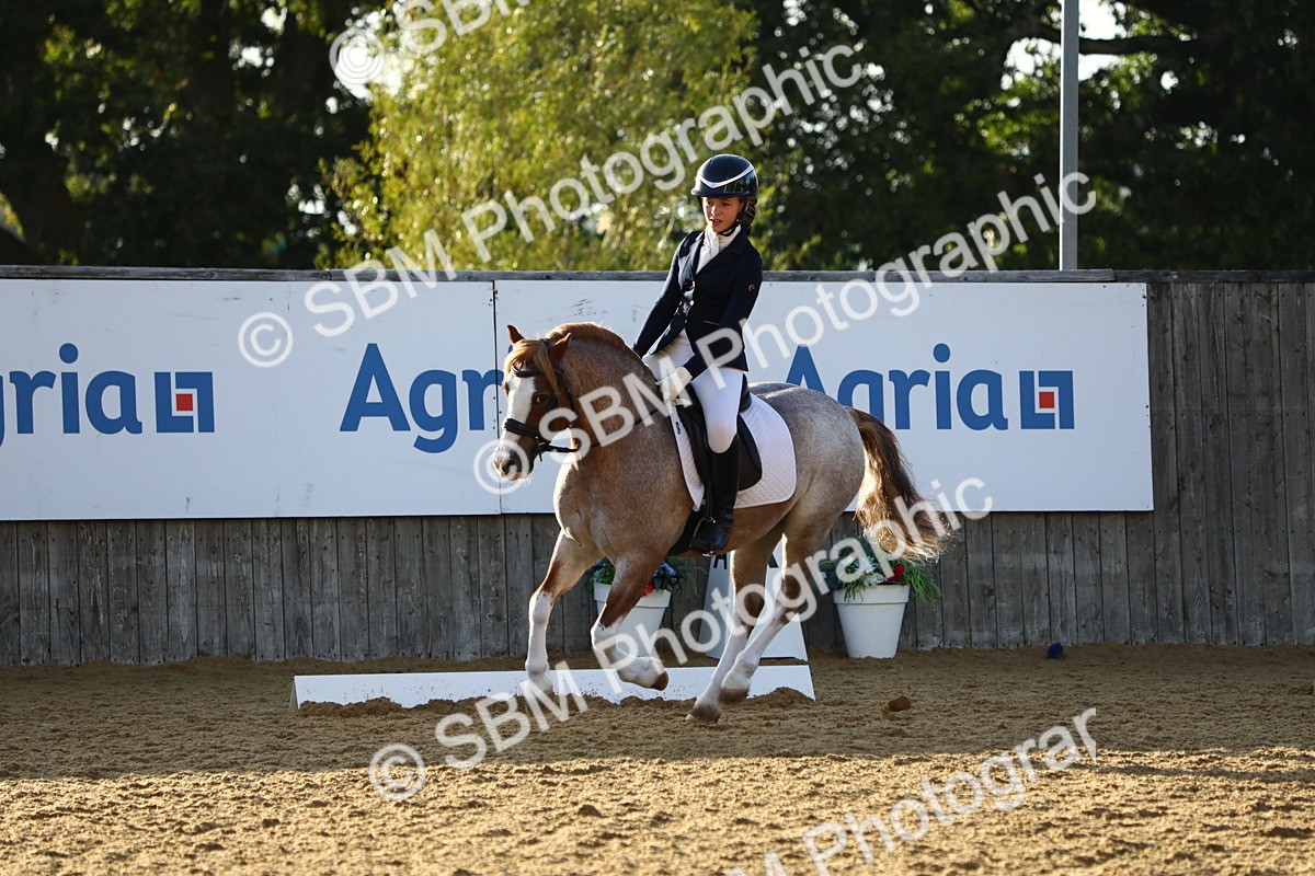 SBM_31656 - D11 - Small Tour Championship Prelim 1