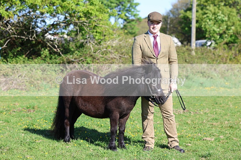 3E7A8414 - Class 12: M & M Small Breeds