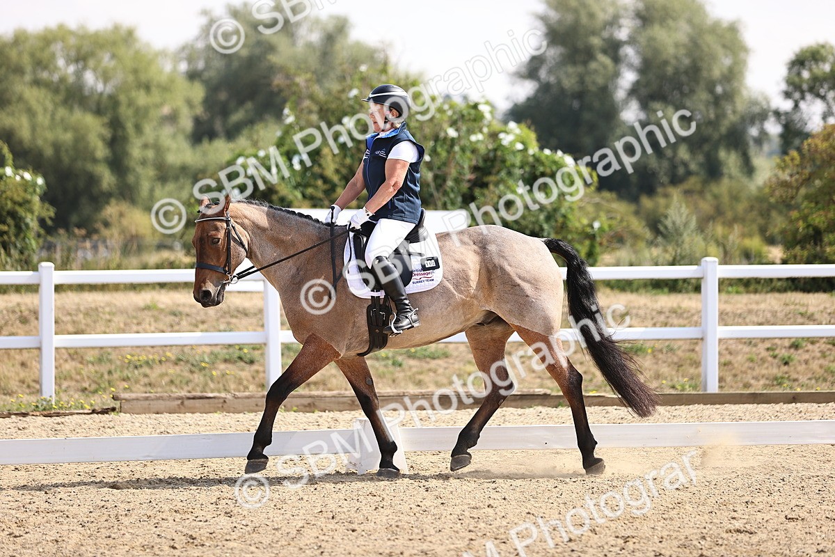 SBM_006520 - Intro 3 - 9.46-10.46