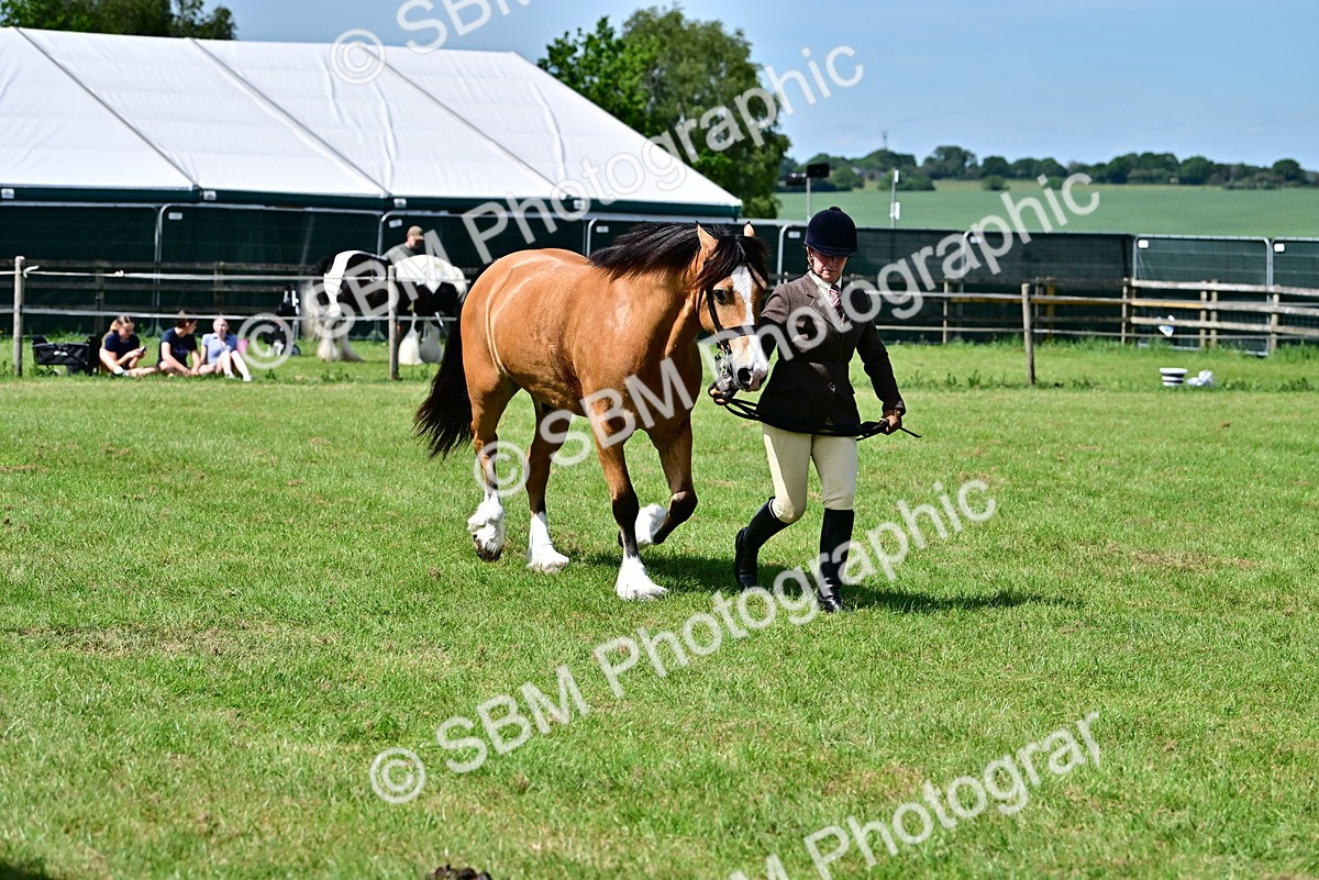 SBM_08074 - Class 61-62 - TSR  M&M Ridden Amateur of the Year