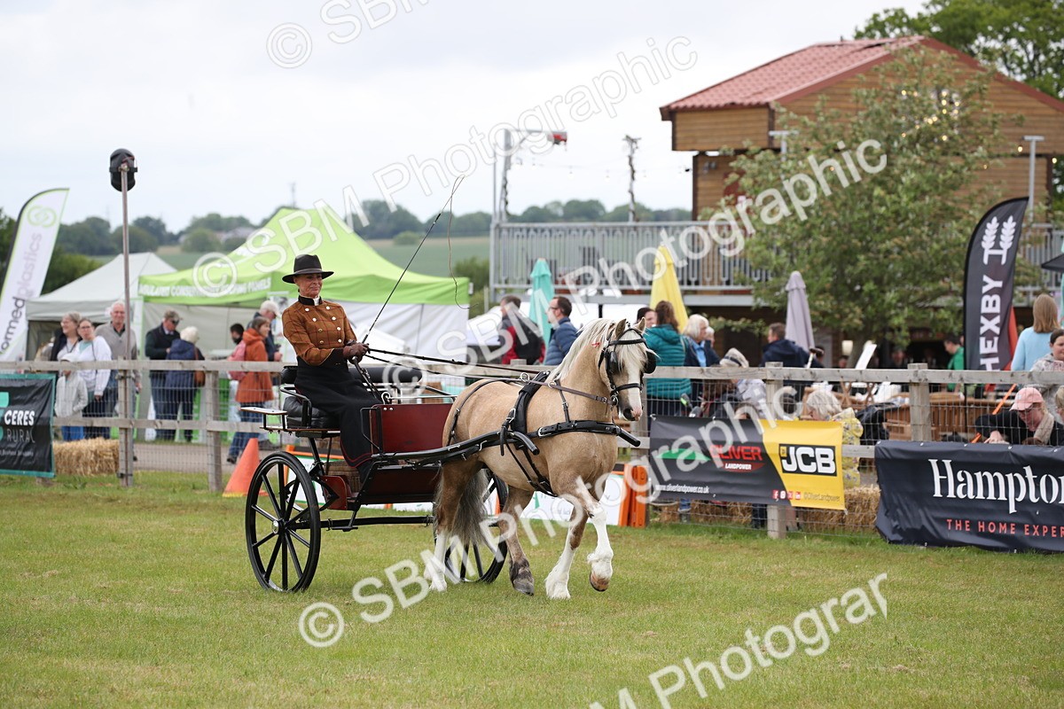 SBM_05625 - Class 12-15 - HOYS Private Driving