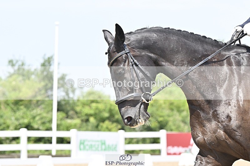 250621-124911-08031 - Cls 27 - Novice 6, 12.20 to End