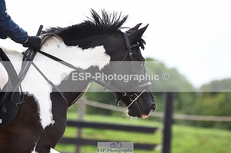 230711A-162710-00016 - 70cm