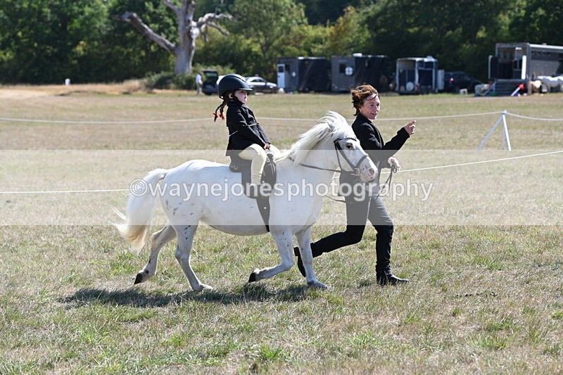 WJ6_7852 - Class 36 Lead Rein