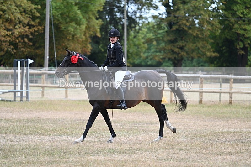 WJ7_1532 - Class 8 Ridden Veterans