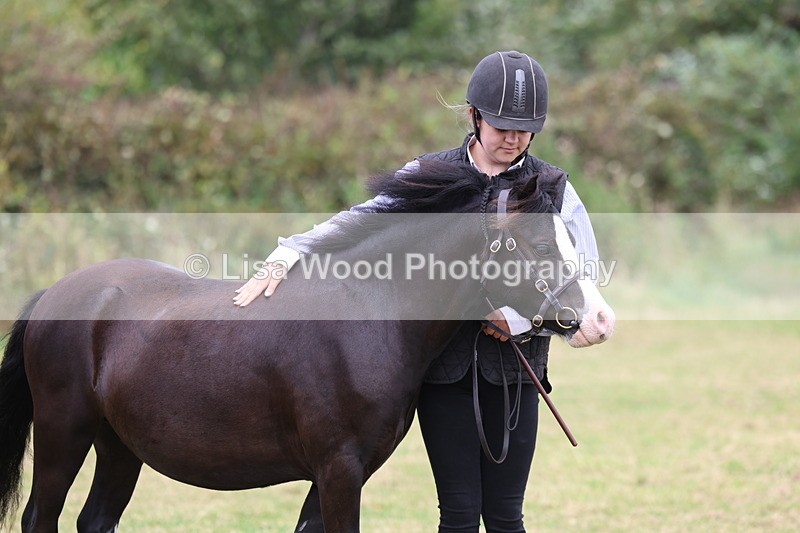 3E7A4482 - Class 15: Three Year Olds