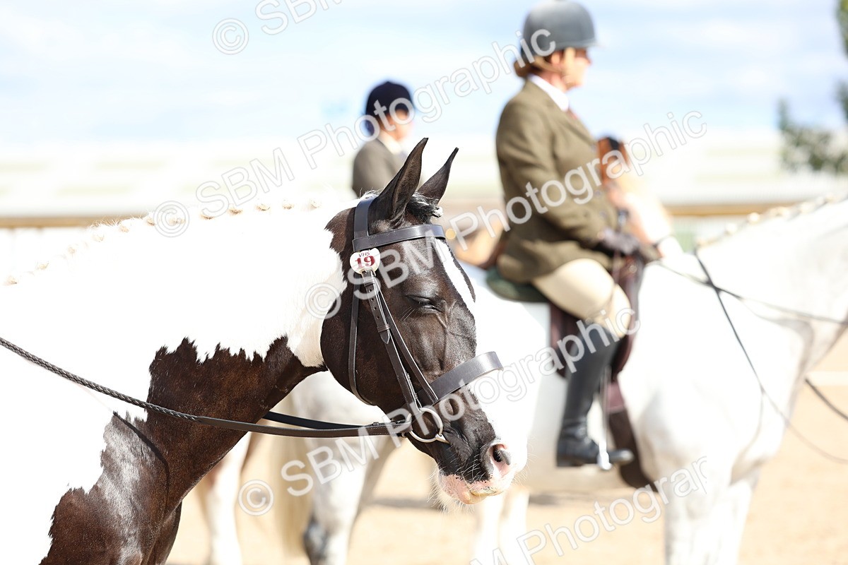 SBM_17213 - Class 315 - Best Horse - Rider Combination