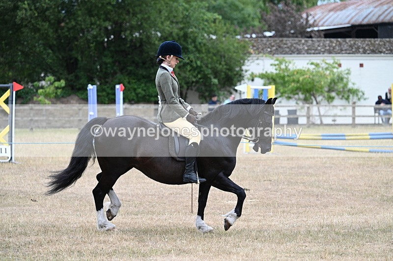 WJ7_0483 - Class 6 Ridden Mountain and Moorland