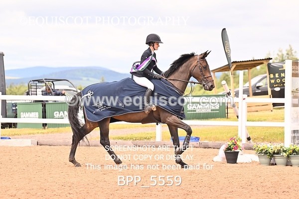 BPP_5559 - CLASS 8 THURS HOYS GFS Saddles Senior Newcomers Second Round
