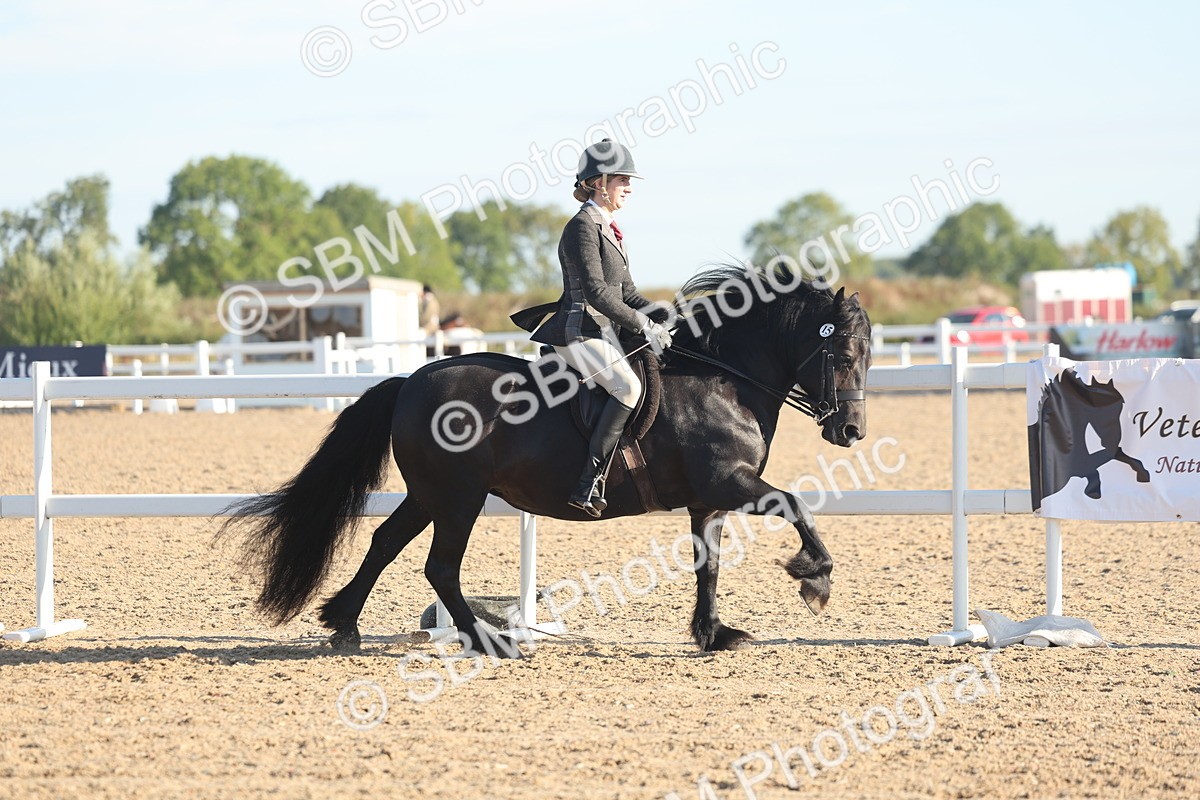 SBM_10998 - Class 302 - Ridden M&M Large Breeds