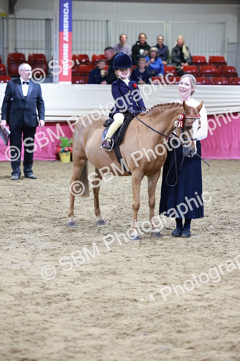 SBM_20573 - Class H - IH Competition - Riding Club champ