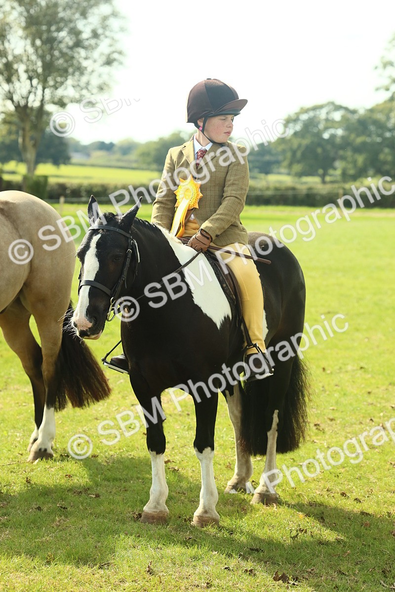 SBM_68986 - S58 - Mini Show Cob Ridden