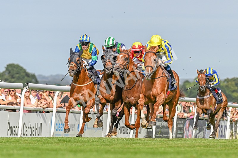 140824-Race 6-Glistening Nights-3875 - Race 6