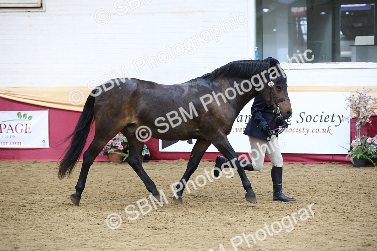 SBM_23624 - Class 904 - Supreme Final - Ridden Diamond