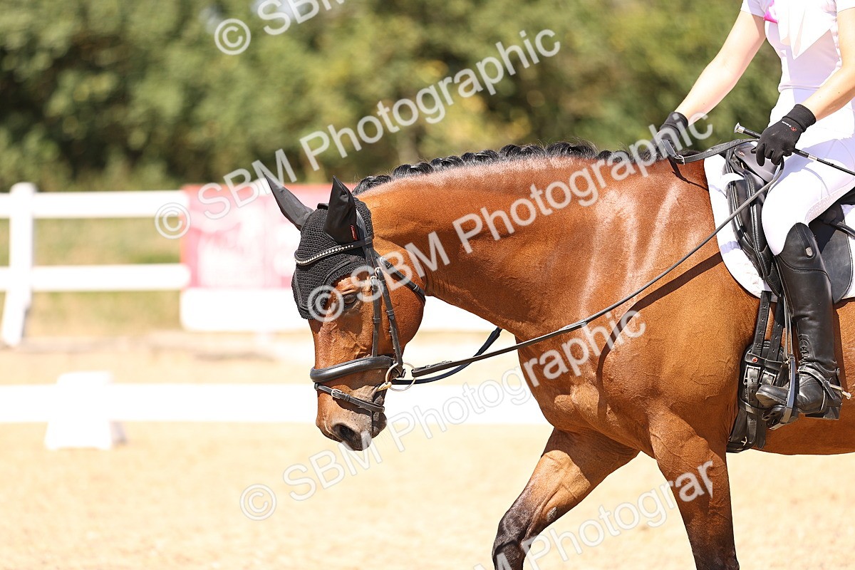 SBM_012376 - Novice 5 - 13.05-14.36