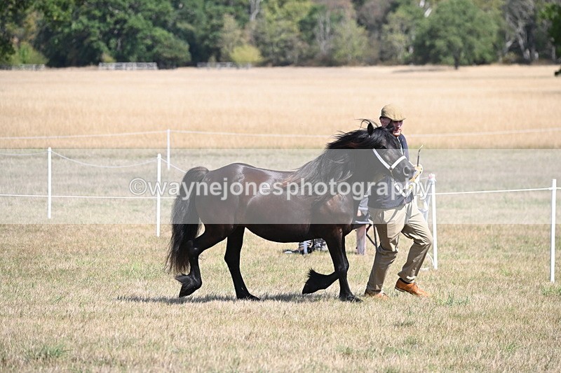 WJ6_5120 - Class 17 Mountain & Moorland