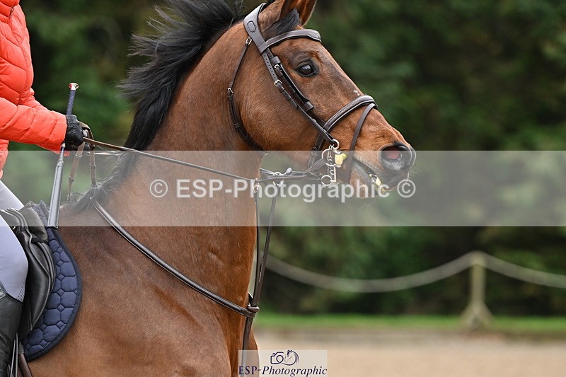 250201A-121834-00641 - Cls 02 Local Horse 100cm