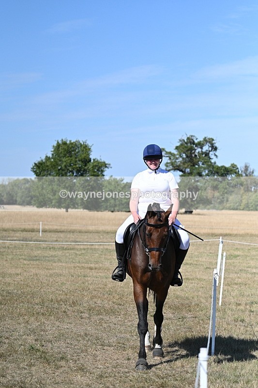 WJ7_1520 - Class 42 Most Handsome Gelding