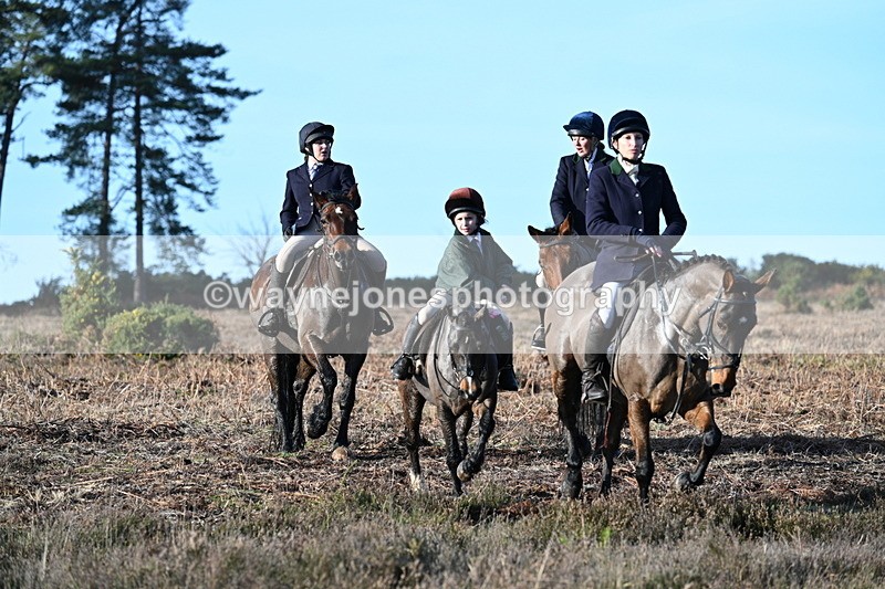 WJ7_7359 - Line 3 (no line 4 or 5)