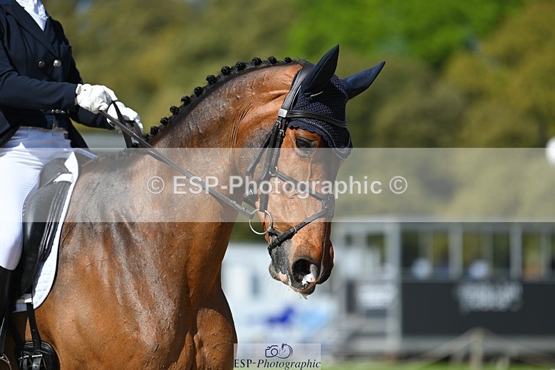 230526-162147-07345 - 256-ALS_RUSSIAN_ROLEX-Jemima_Howden-WEDTrotUp+DR